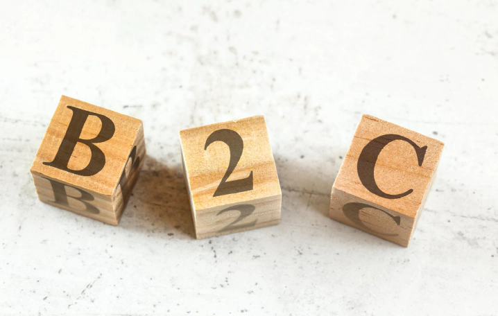 B2C Ecommerce Site Search: Enhancing Customer Experience and Conversion Rates through Strategic Improvements