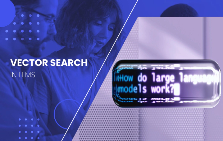 Vector search in LLMs: a synergy for converting e-commerce search