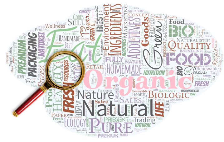 What is Natural Language Search?
