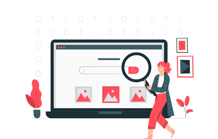 What is onsite search?